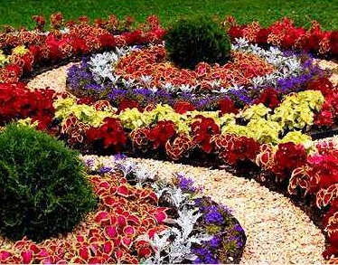 Цветочные бордюры для дизайна ландшафта сада